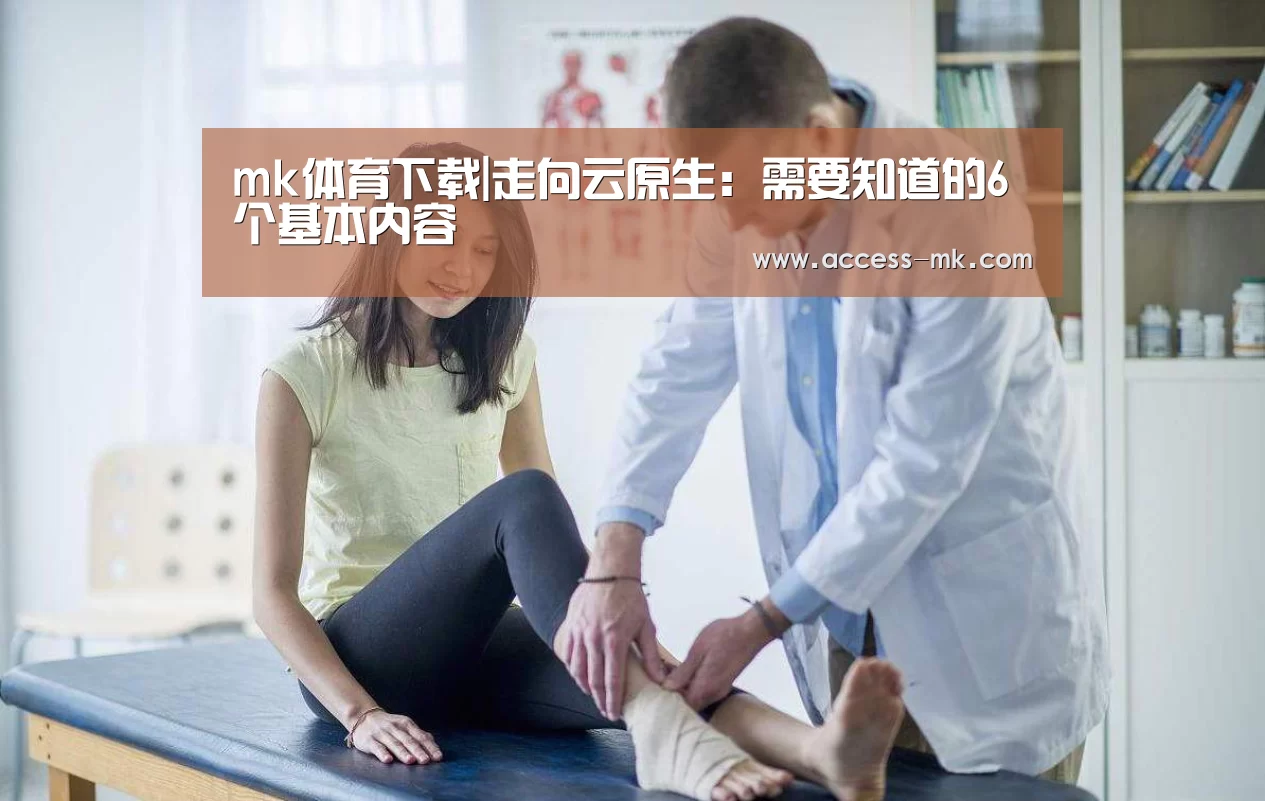 mk体育下载|走向云原生:需要知道的6个基本内容(图2) mk体育入口