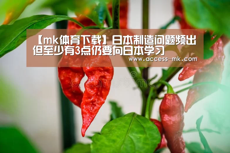 mk体育下载