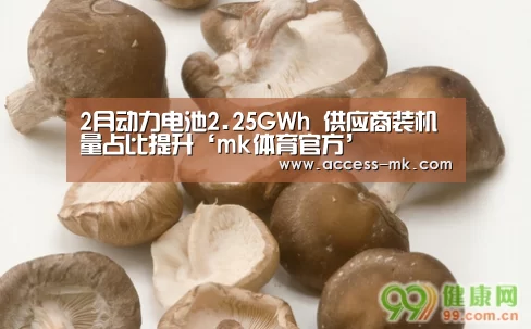 2月动力电池2.25GWh 供应商装机量占比提升‘mk体育官方’(图1) mk体育入口