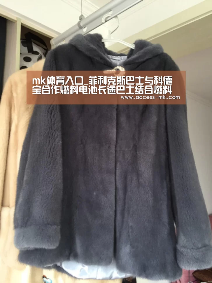 mk体育入口