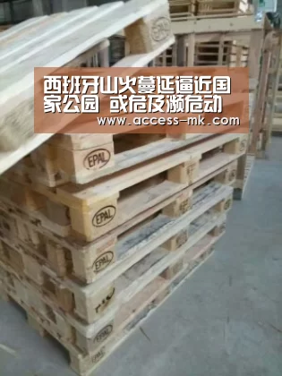 mk体育