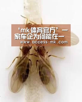 ‘mk体育官方’一家车企为何能在一夜之间就转做口罩生产商?(图3) mk体育