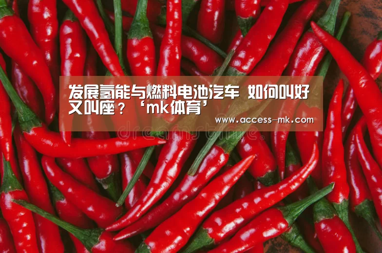 mk体育入口